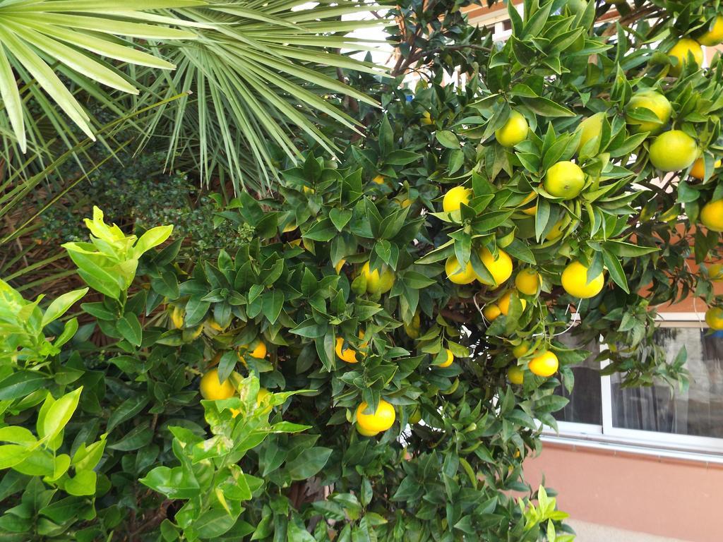 Casa Mallarenga Rooms Olivella 外观 照片